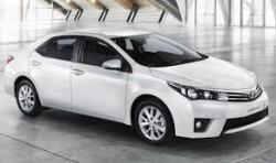 ALUMAR Marino 600 CSL 