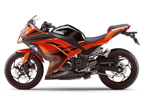 KAWASAKI Ninja 300 , Foto 2