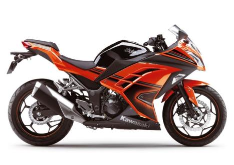 KAWASAKI Ninja 300 , Foto 3