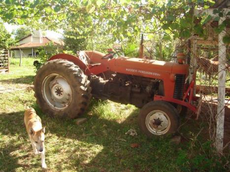 MASSEY FERGUSON 50X , Foto 3